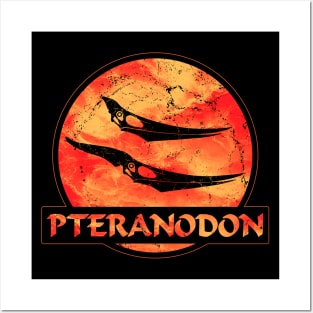 Pteranodon fossil skull Posters and Art